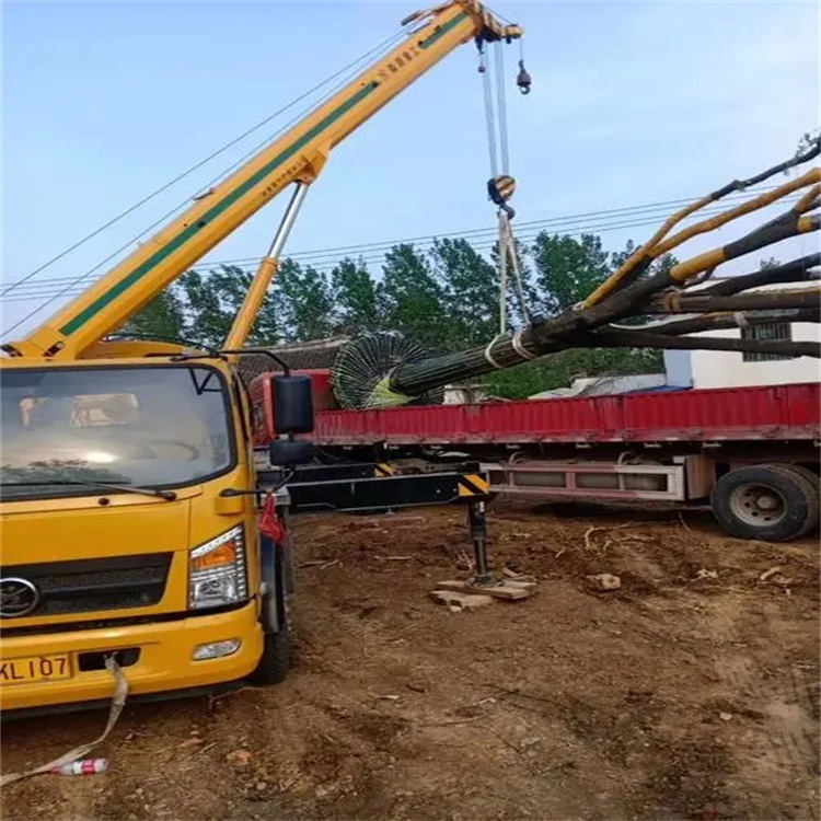 郭河镇100吨吊车租赁费用怎么算？3大关键因素+省钱技巧全解析